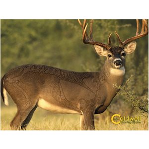 "The Natural Series" Whitetail Deer Target