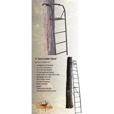 15' BASIC LADDER STAND