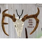 "Skullz" mirror hanger, Heavy 8 pnt. Deer