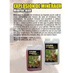 EXPLOSION DE MINERAUX POMME 2 X 1 L6PACK
