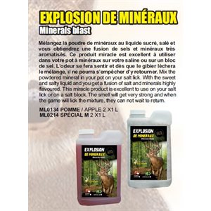 EXPLOSION DE MINERAUX SPECIAL M - 2 X 1 L6PACK