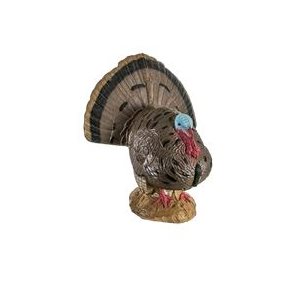 Woodland Strutting Turkey