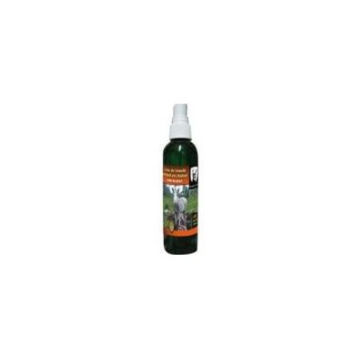 COVER SCENT SPRUCE 60 ML