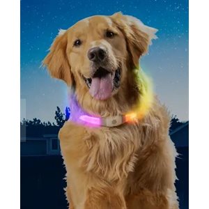 NiteHowl® Max Rechargeable LED Safety Necklace - Disc-O Sele